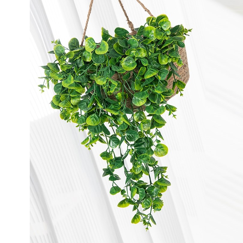Eucalyptu Fern Rattan Artifici - Rattan Plant Basket 评论和价格